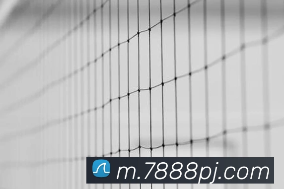 App 展示图